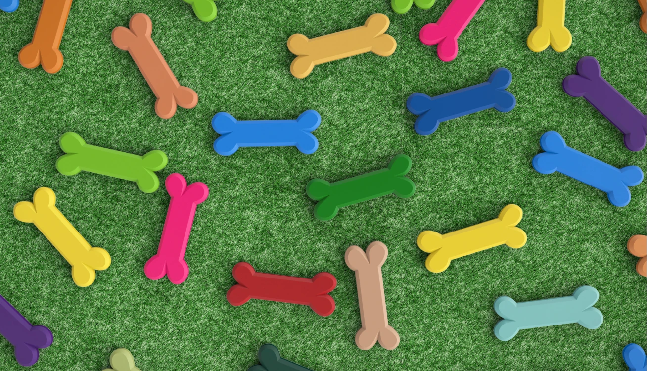 img - PET AREAS — 3