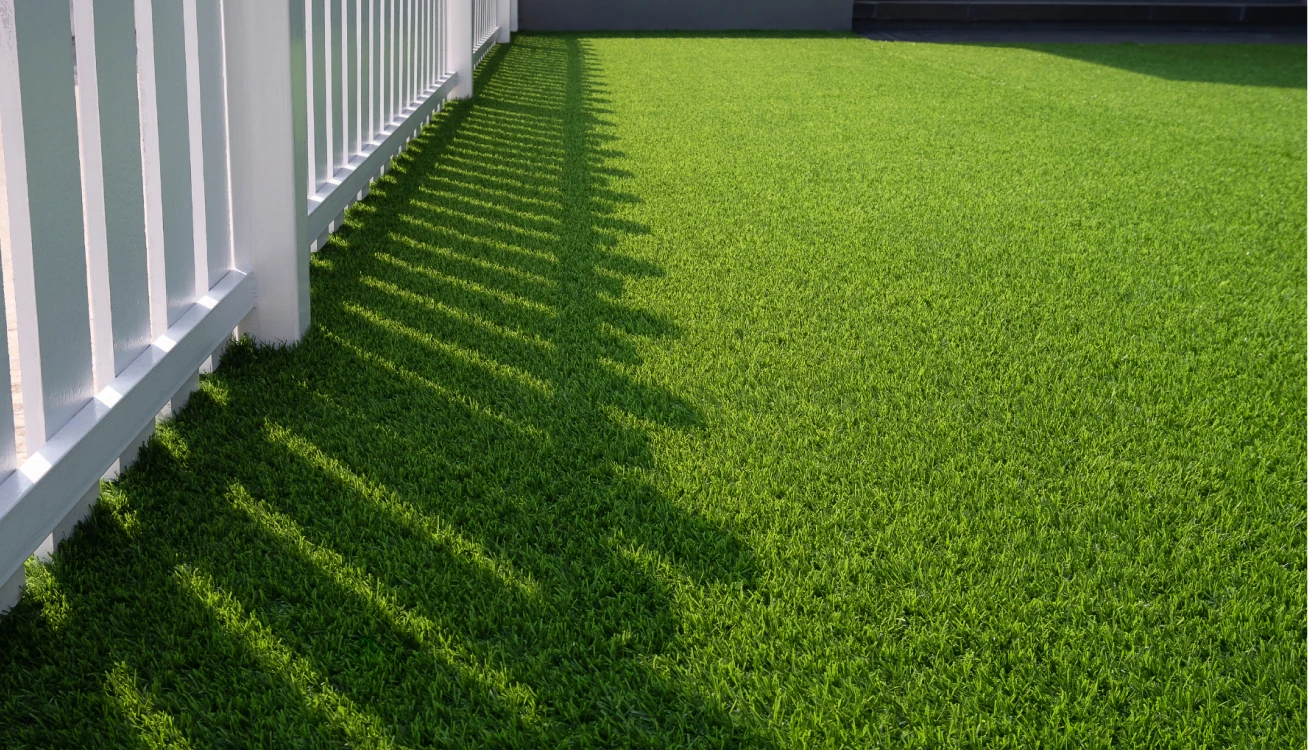 img - PET AREAS — 4